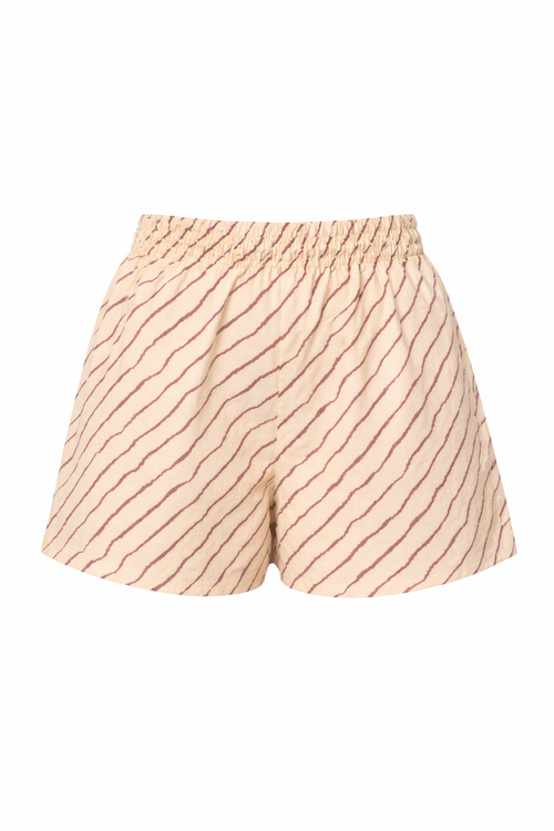 Desert Stripe Shorts