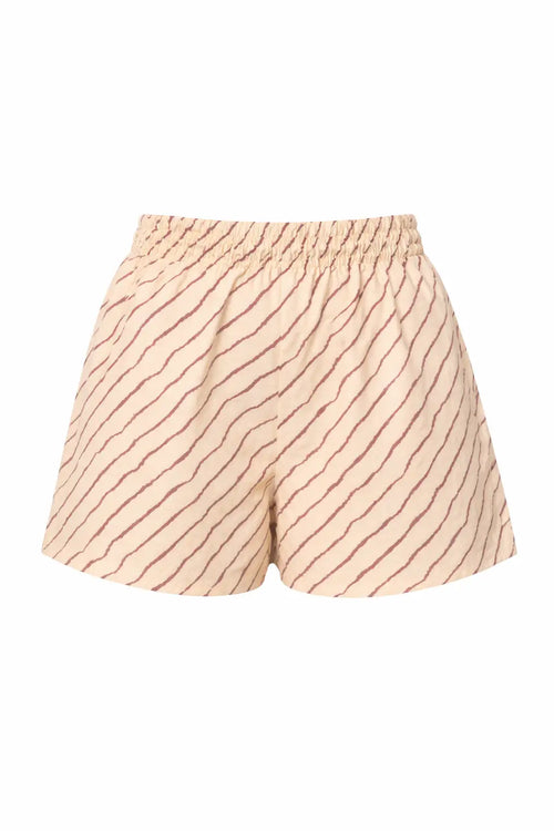 Desert Stripe Shorts